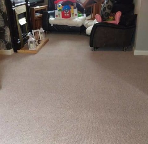 professional carpet cleaning after e1520907752667