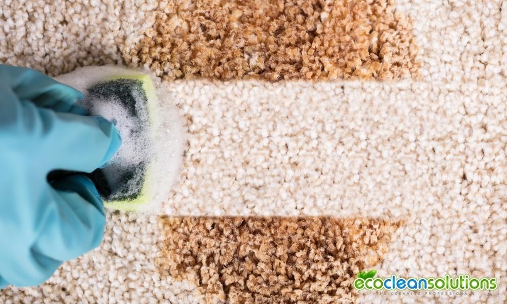 5 Things to Consider Before Hiring a Carpet Cleaning Company