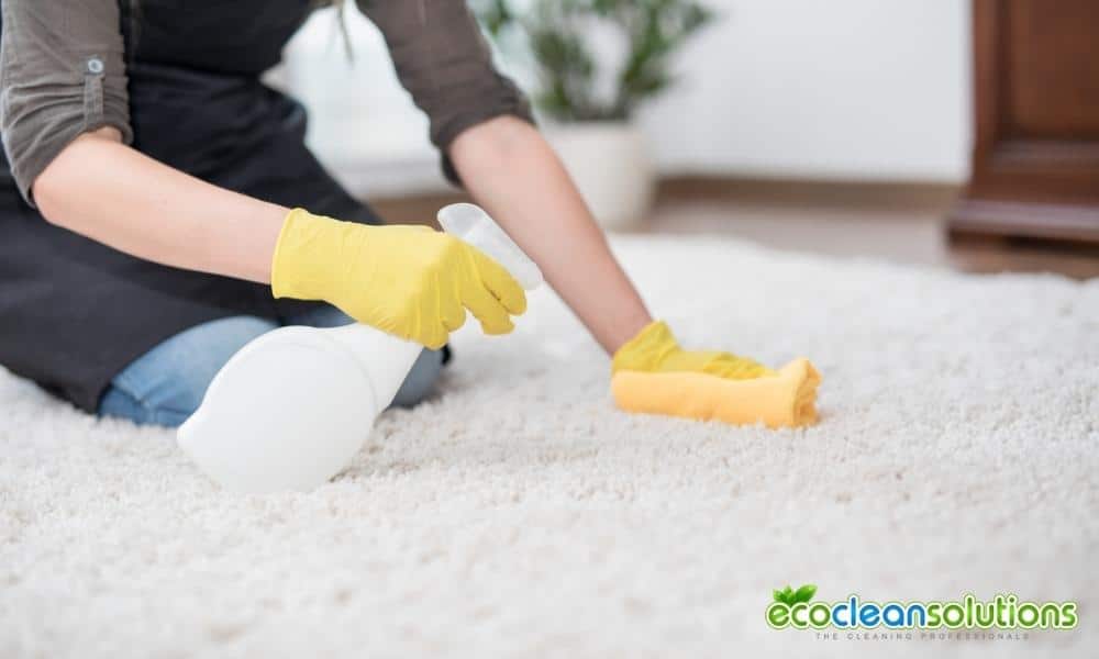 9 Wet Carpet Cleaning Myths