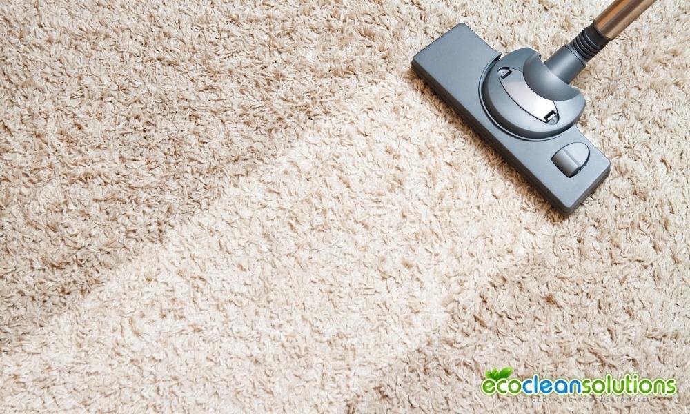 Essential Tools Necessary for Professional Carpet Cleaning