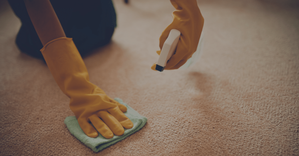 The Ultimate Guide to Carpet Cleaning in Dublin