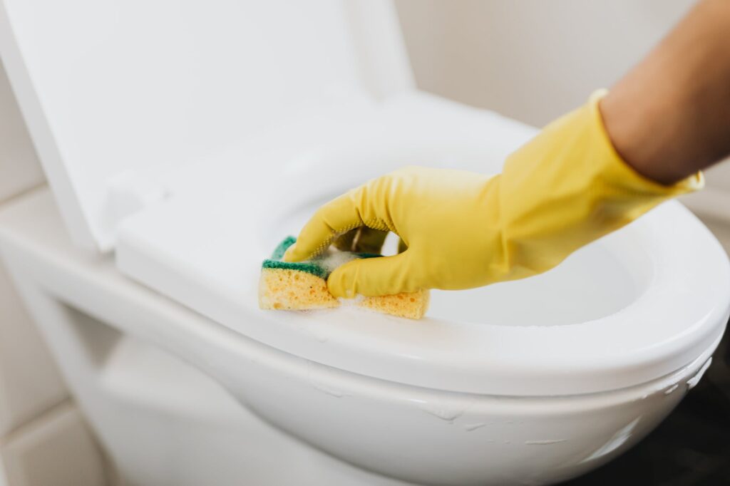 professional house cleaners in dublin: what sets them apart